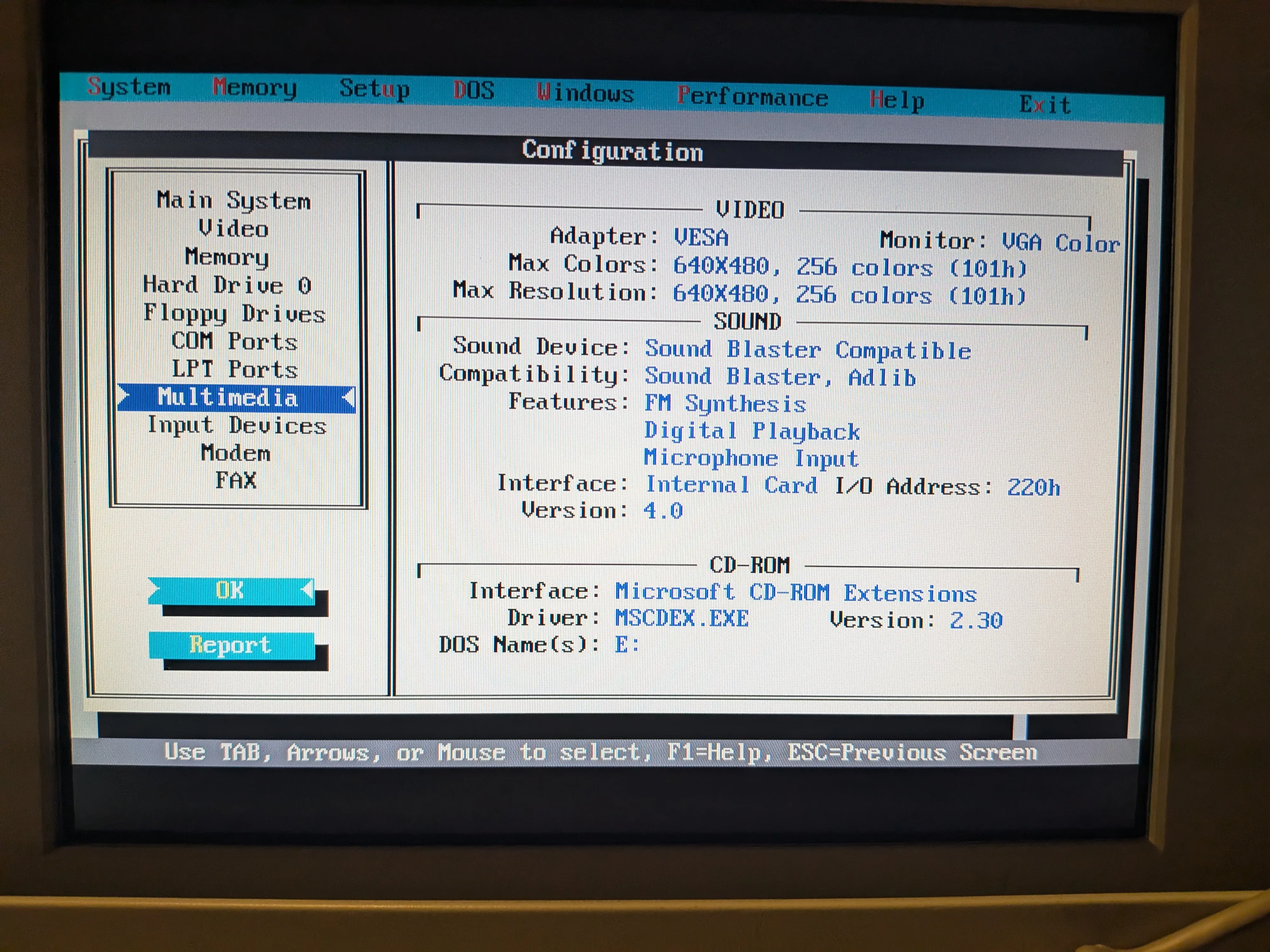 MSD system info, multimedia
